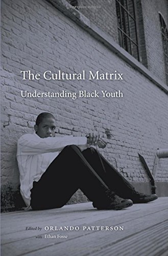 Beispielbild fr The Cultural Matrix: Understanding Black Youth zum Verkauf von Books-R-Keen