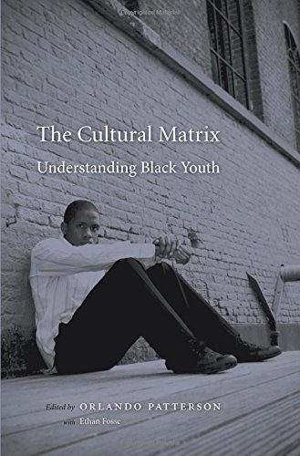 Imagen de archivo de The Cultural Matrix: Understanding Black Youth a la venta por Patrico Books