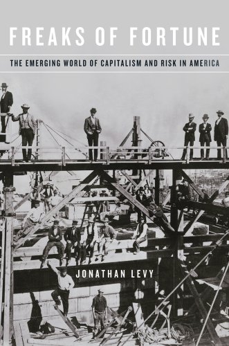 9780674736351: Freaks of Fortune: The Emerging World of Capitalism and Risk in America