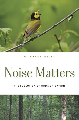 Noise Matters: The Evolution Of Communication.