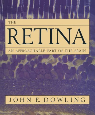Beispielbild fr The Retina : An Approachable Part of the Brain zum Verkauf von Better World Books: West