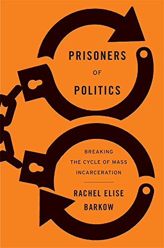 9780674919235: Prisoners of Politics: Breaking the Cycle of Mass Incarceration