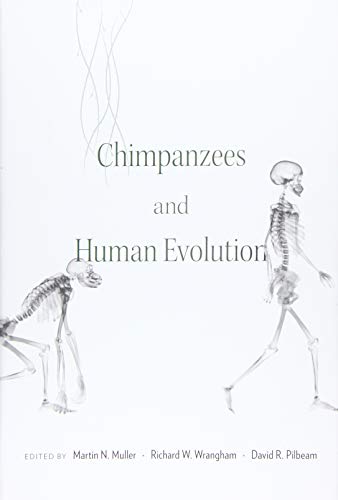 9780674967953: Chimpanzees and Human Evolution