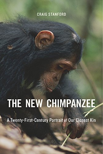 Beispielbild fr The New Chimpanzee zum Verkauf von Blackwell's