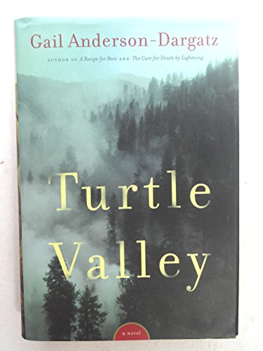 Imagen de archivo de Turtle Valley a la venta por Better World Books