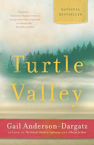 Imagen de archivo de Turtle Valley: A Novel a la venta por Hourglass Books