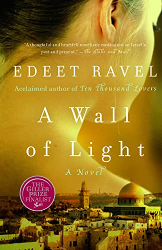 Beispielbild fr A Wall of Light zum Verkauf von Russell Books