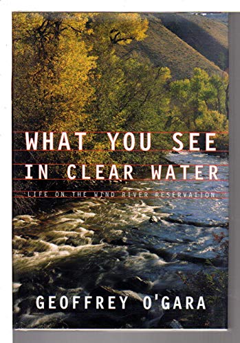 Imagen de archivo de What You See in Clear Water a la venta por Better World Books