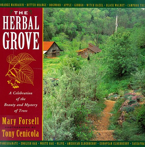 Stock image for The Herbal Grove : A Celebration of the Beauty and Mystery of Trees for sale by Better World Books