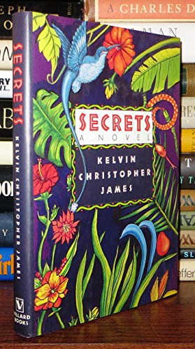 Beispielbild fr SECRETS. A novel zum Verkauf von Alkahest Books