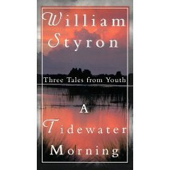 Stock image for A Tidewater Morning: Three Tales from Youth for sale by Edmonton Book Store