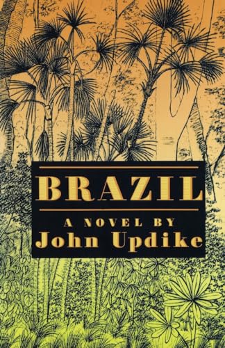 9780679430711: Brazil: A novel