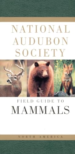 Beispielbild fr National Audubon Society Field Guide to North American Mammals (National Audubon Society Field Guides) zum Verkauf von Lexington Books Inc