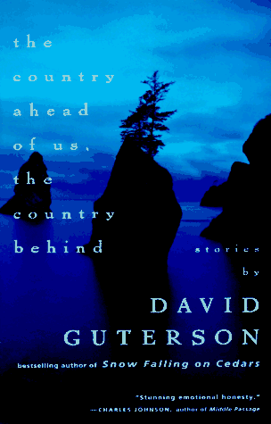 Stock image for The Country Ahead of Us, The Country Behind: Stories (2 Audio Cassettes) for sale by gigabooks