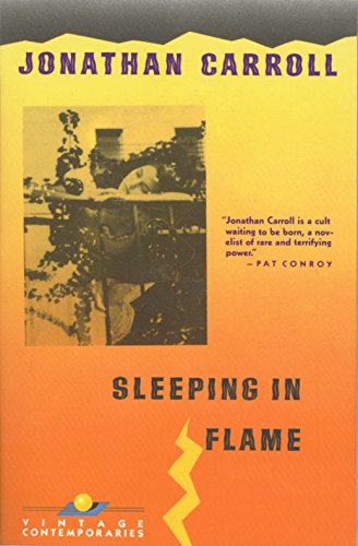 Beispielbild fr Sleeping in Flame zum Verkauf von Wonder Book