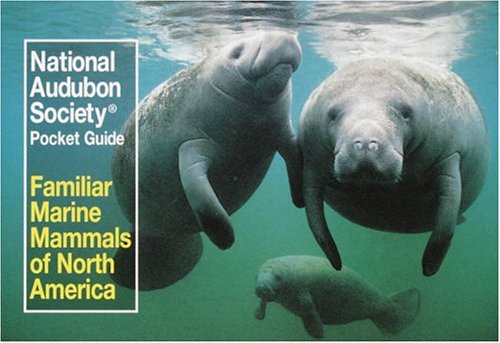 Stock image for Familiar Marine Mammals of North America (Audubon Society Pocket Guide Series) for sale by WorldofBooks