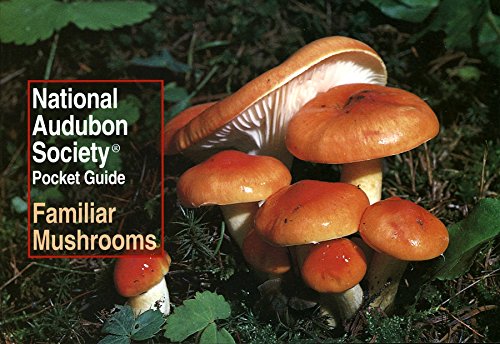 Imagen de archivo de National Audubon Society Pocket Guide: Familiar Mushrooms (National Audubon Society Pocket Guides) a la venta por Reliant Bookstore
