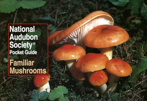 Stock image for National Audubon Society Pocket Guide: Familiar Mushrooms (National Audubon Society Pocket Guides) for sale by BooksRun
