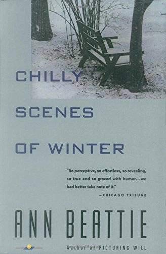 9780679732341: Chilly Scenes of Winter: 0000 (Vintage Contemporaries)