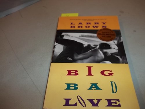 9780679734918: Big Bad Love: Stories (Vintage Contemporaries)