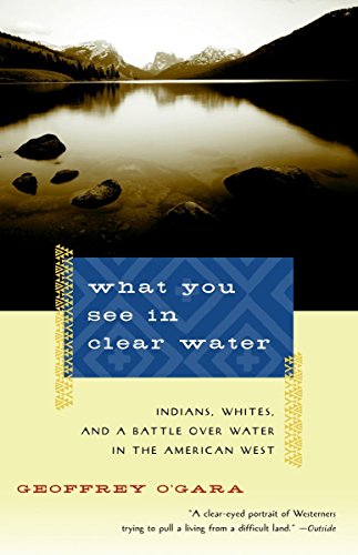 9780679735823: What You See in Clear Water: Life on the Wind River Reservation [Lingua Inglese]: Indians, Whites, and a Battle Over Water in the American West