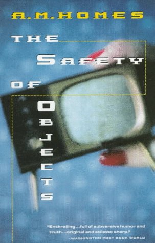 Beispielbild fr The Safety of Objects zum Verkauf von Better World Books