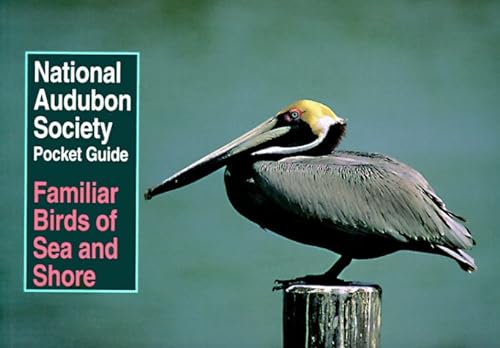 Stock image for National Audubon Society Pocket Guide to Familiar Birds of Sea and Shore (National Audubon Society Pocket Guides) for sale by Hippo Books