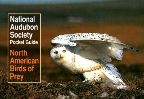 Stock image for National Audubon Society Pocket Guide to North American Birds of Prey for sale by Better World Books