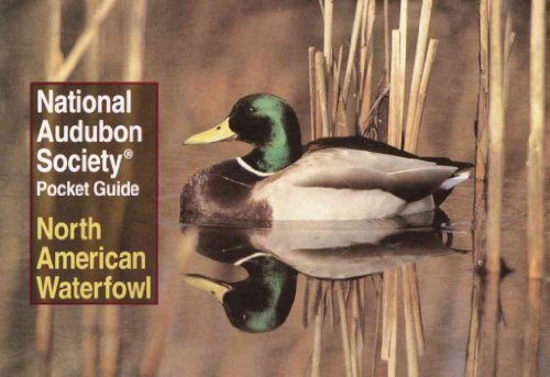 Beispielbild fr National Audubon Society Pocket Guide: North American Waterfowl (National Audubon Society Pocket Guides) zum Verkauf von Wonder Book