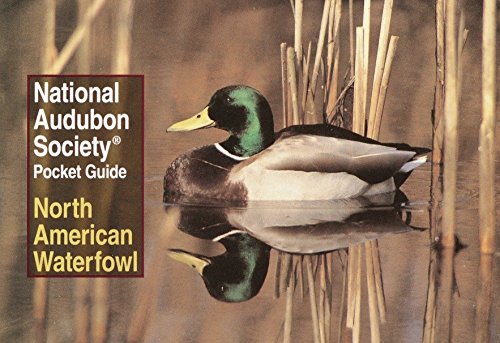Stock image for National Audubon Society Pocket Guide: North American Waterfowl (National Audubon Society Pocket Guides) for sale by Wonder Book