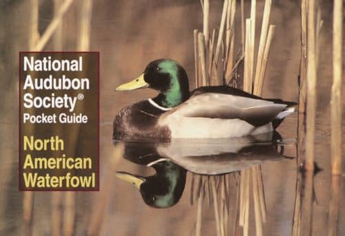 Stock image for National Audubon Society Pocket Guide: North American Waterfowl (National Audubon Society Pocket Guides) for sale by SecondSale