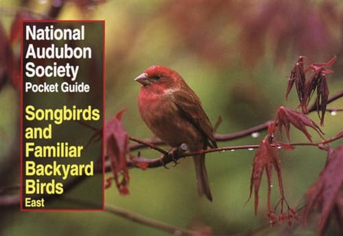 Imagen de archivo de National Audubon Society Pocket Guide to Songbirds and Familiar Backyard Birds: Eastern Region : East a la venta por Better World Books