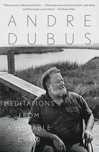 Beispielbild fr Meditations from a Movable Chair: Essays zum Verkauf von ZBK Books