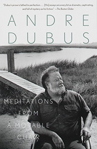 9780679751151: Meditations from a Movable Chair: Essays