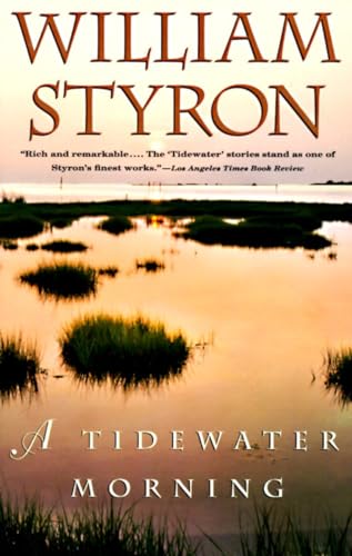 Stock image for A Tidewater Morning for sale by Your Online Bookstore