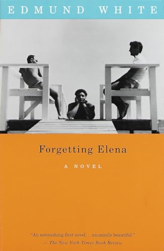 Stock image for Forgetting Elena: A Novel for sale by SecondSale