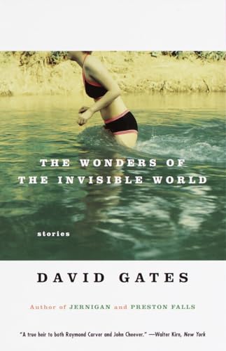 9780679756446: The Wonders of the Invisible World (Vintage Contemporaries)