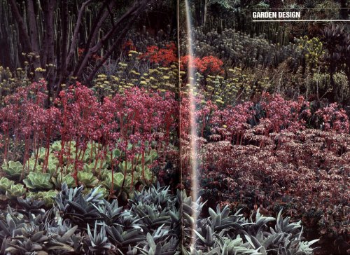 Beispielbild fr Dry Climate Gardening with Succulents (The American Garden Guides) zum Verkauf von R Bookmark