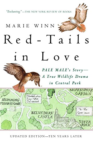 9780679758464: Red-Tails in Love: Pale Male's Story--A True Wildlife Drama in Central Park (Vintage Departures)