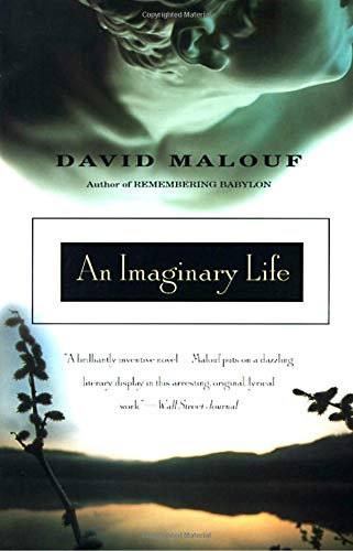 9780679767930: An Imaginary Life (Vintage International)