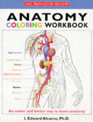 Imagen de archivo de Anatomy Coloring Workbook (Princeton Review) a la venta por SecondSale