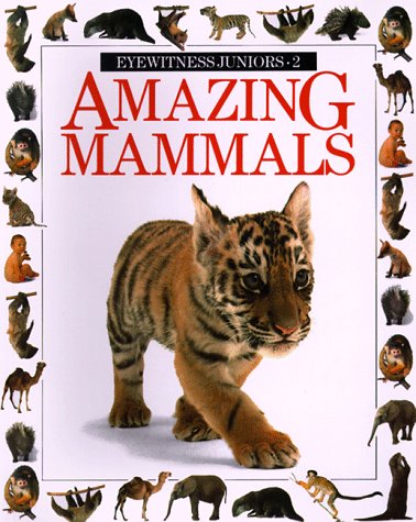 Imagen de archivo de Amazing Mammals (Eyewitness Junior) a la venta por DENNIS GALLEMORE