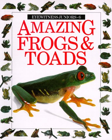 Beispielbild fr Amazing Frogs and Toads (Eyewitness Junior) zum Verkauf von Your Online Bookstore