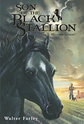Imagen de archivo de Son of the Black Stallion a la venta por SecondSale