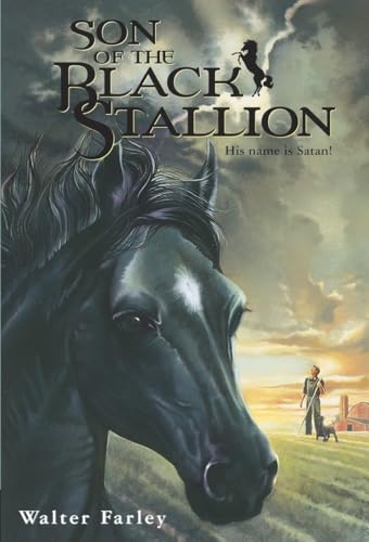 Stock image for Son of the Black Stallion for sale by Fallen Leaf Books