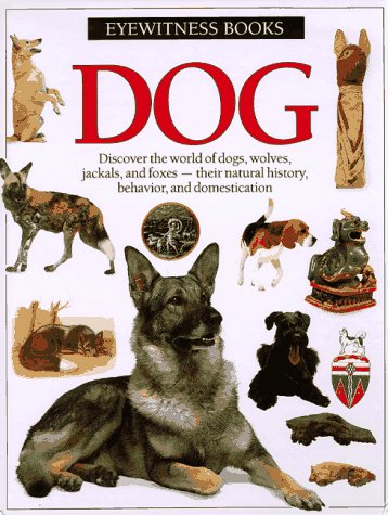 9780679814597: Dog (Eyewitness Books)