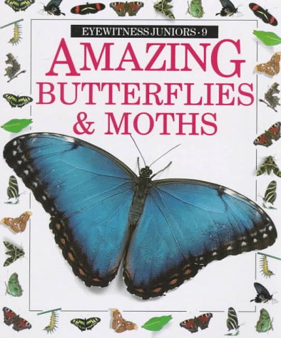 Beispielbild fr Amazing Butterflies and Moths (Eyewitness Junior) zum Verkauf von Half Price Books Inc.