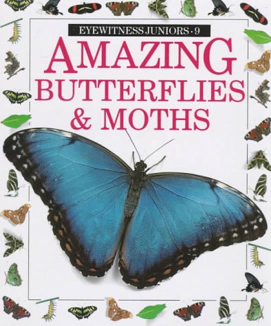 Stock image for Amazing Butterflies and Moths (Eyewitness Juniors) for sale by SecondSale