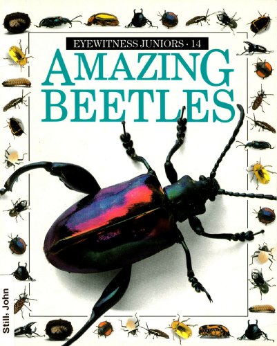 Beispielbild fr AMAZING BEETLES #14 (Eyewitness Juniors) zum Verkauf von SecondSale