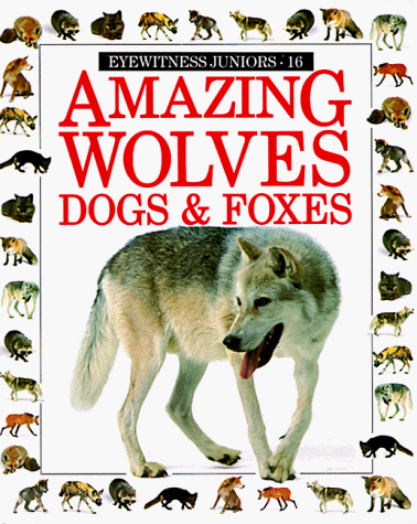 Stock image for Amazing Wolves, Dogs, and Foxes (Eyewitness Juniors) for sale by SecondSale